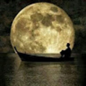 Meet your Posher, Thanh